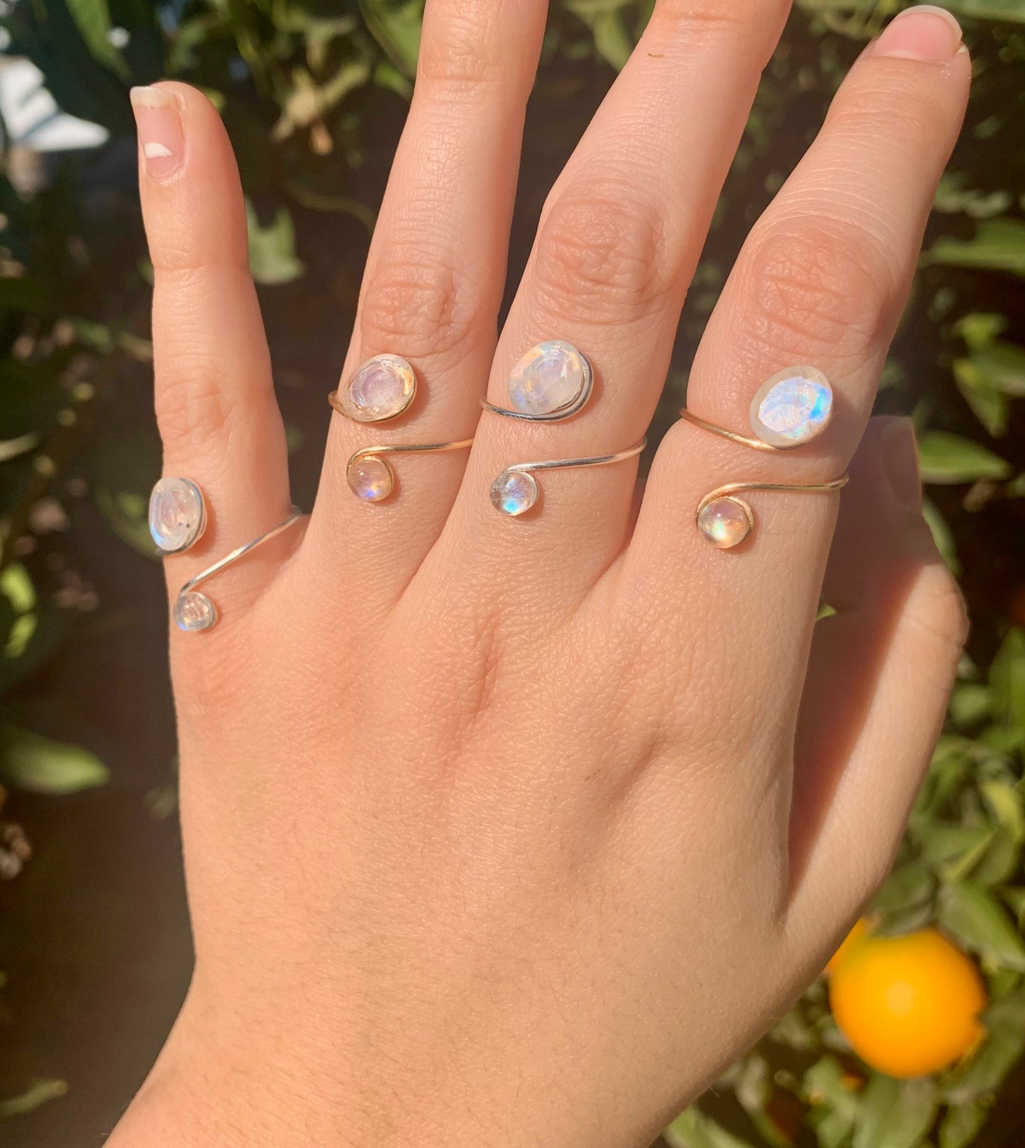 ‘Fruitful Rings’
