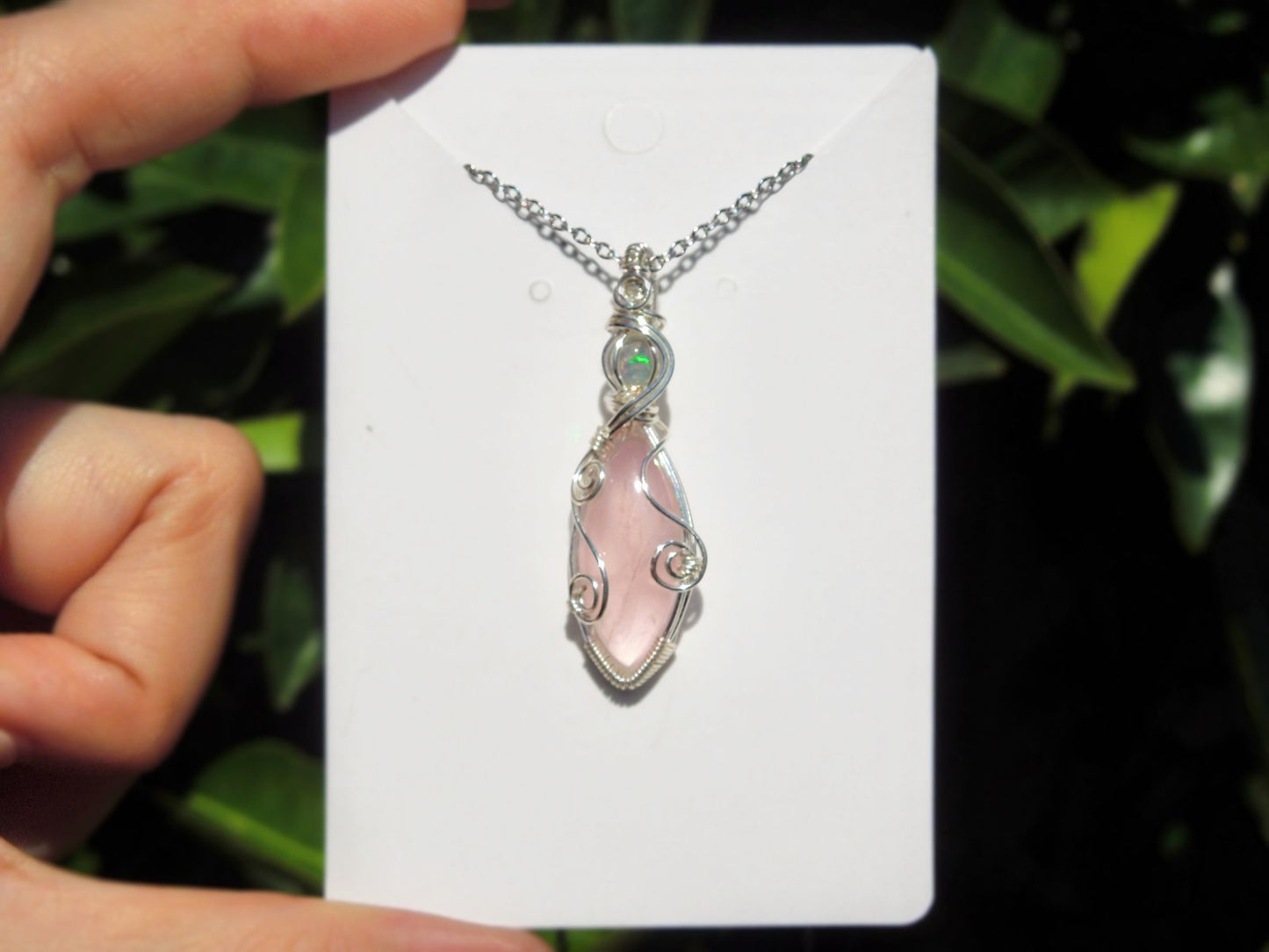‘Cherry Blossom’