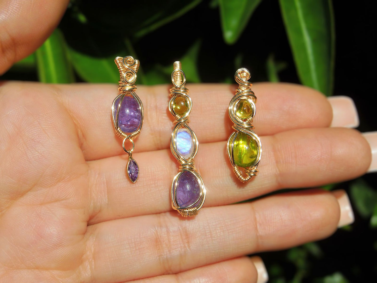 ‘Hydrangea’ *RARE*