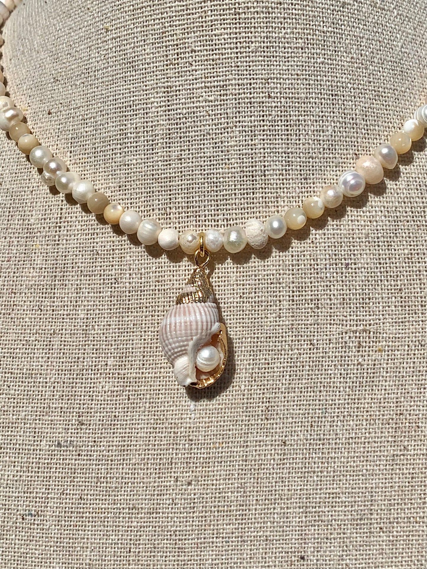 ‘Melody of the Sea’