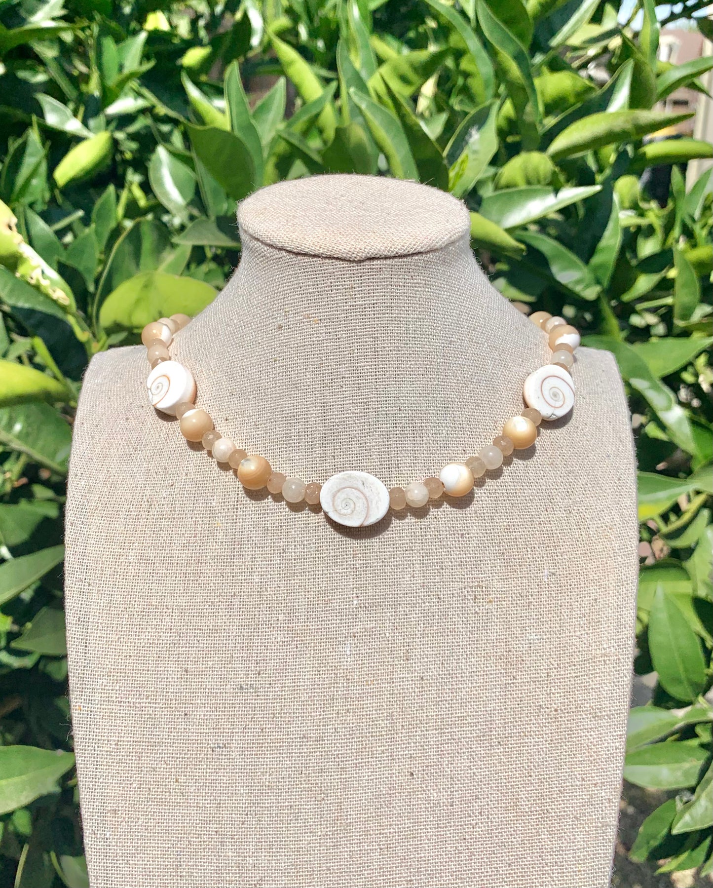 ‘Sunshine & Coconuts’