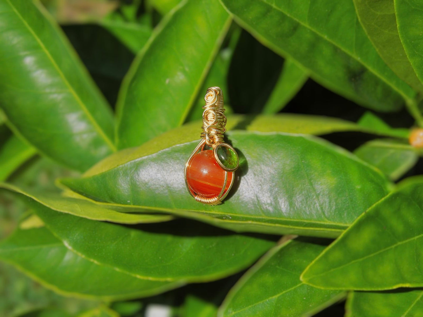 ‘Clementine’
