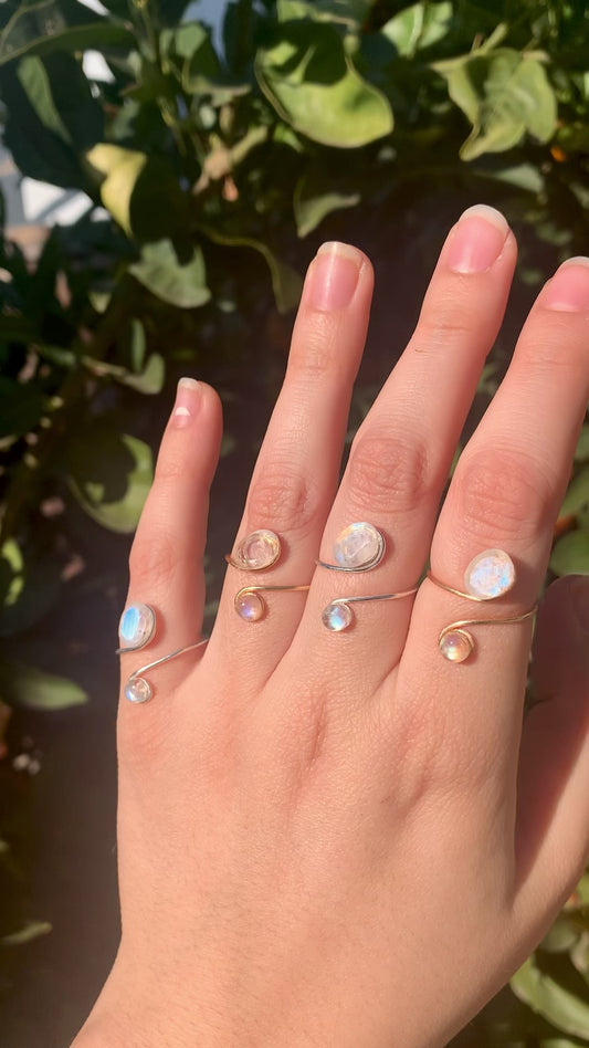 ‘Fruitful Rings’